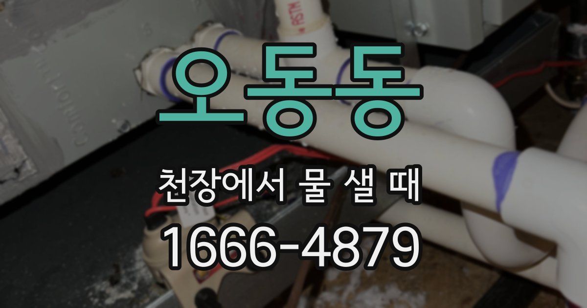 오동동 천장에서 물 샐 때