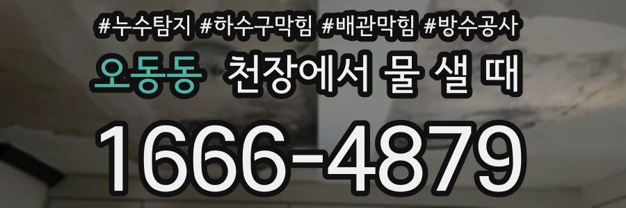 오동동 천장에서 물 샐 때