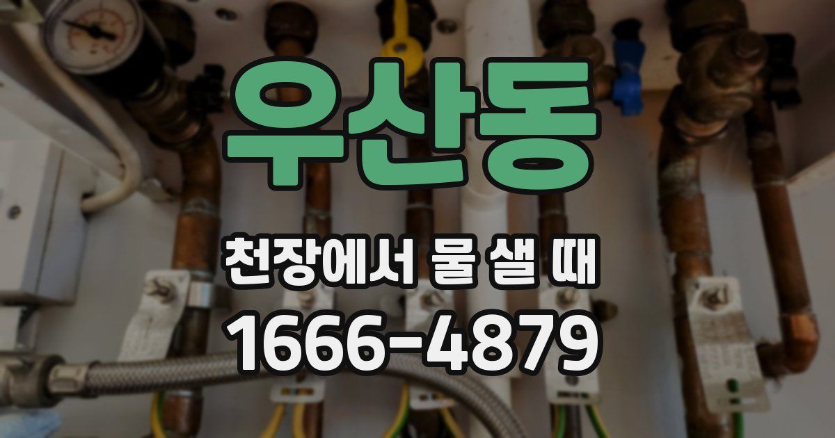 우산동 천장에서 물 샐 때