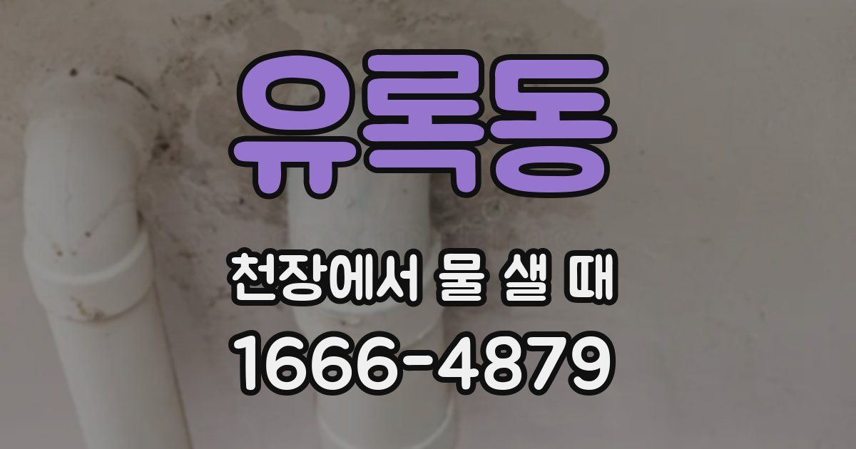 유록동 천장에서 물 샐 때