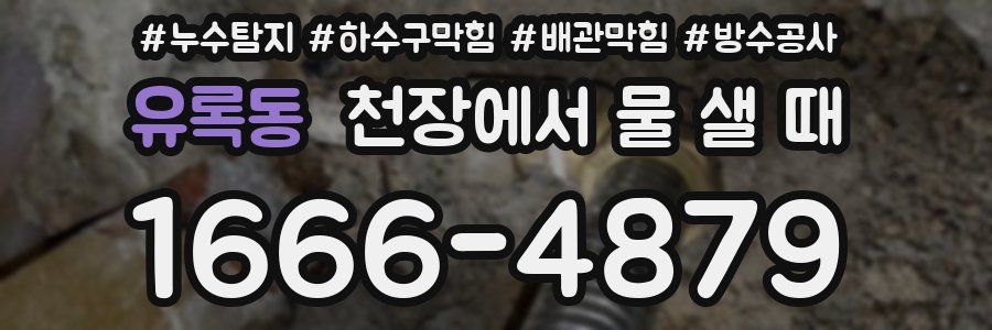 유록동 천장에서 물 샐 때