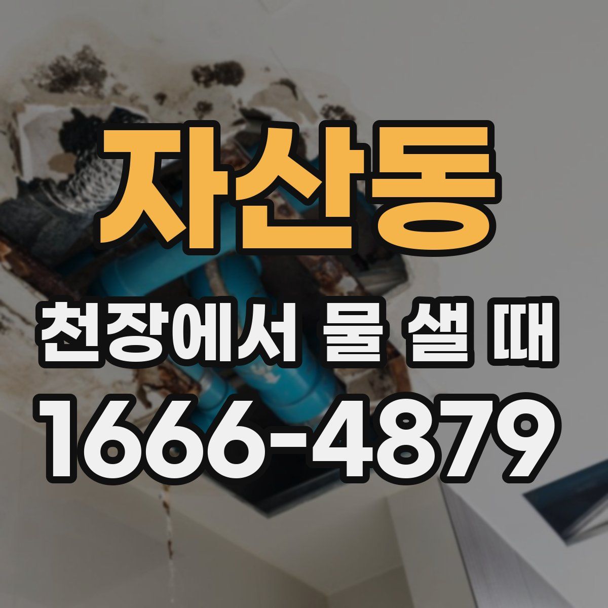 자산동 천장에서 물 샐 때