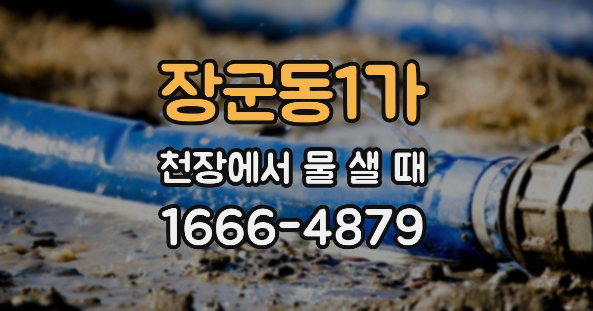 장군동1가 천장에서 물 샐 때