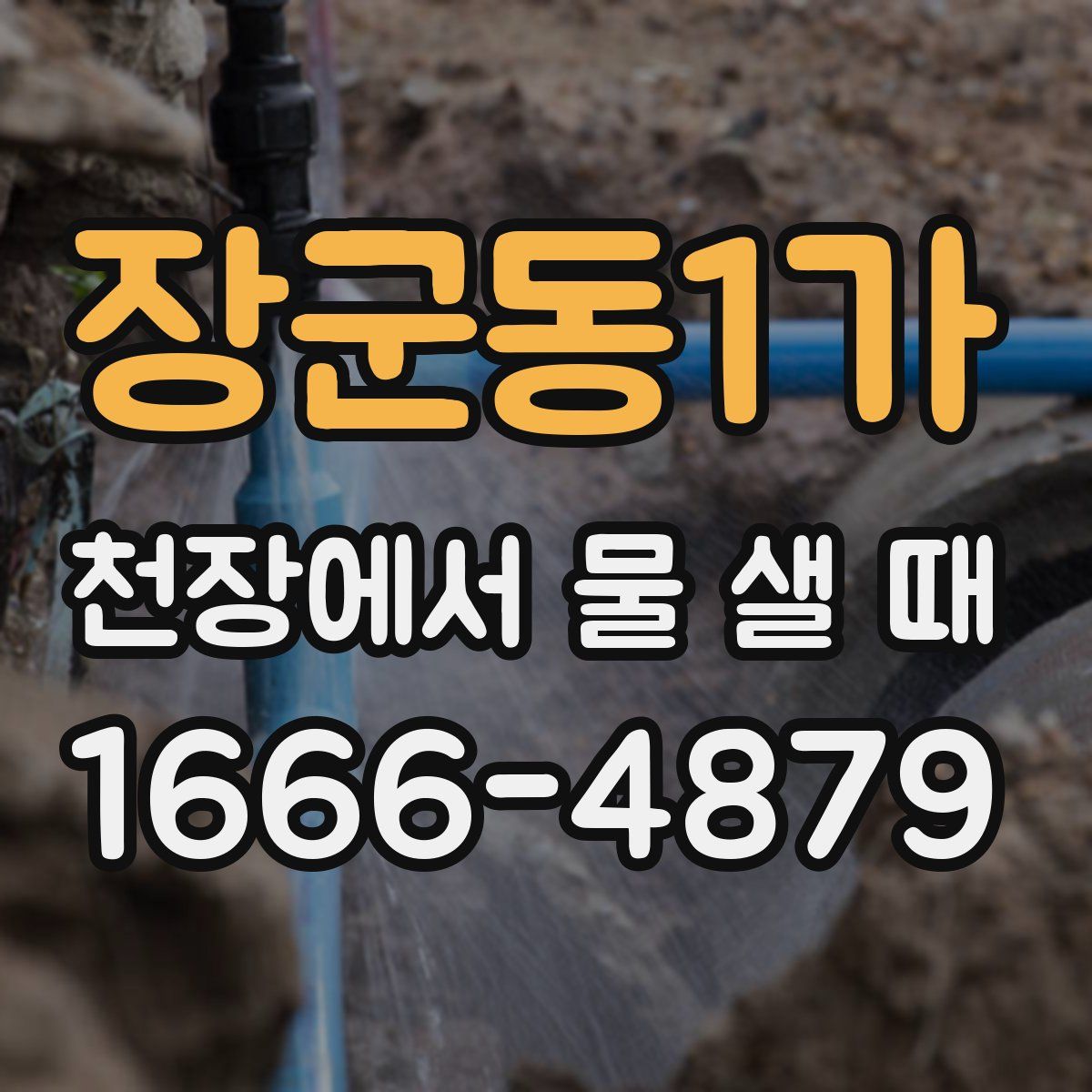장군동1가 천장에서 물 샐 때