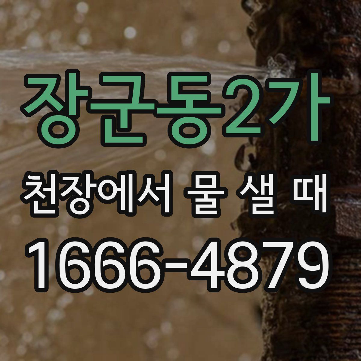장군동2가 천장에서 물 샐 때