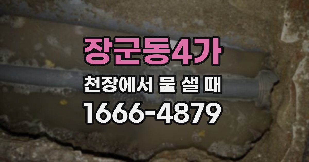 장군동4가 천장에서 물 샐 때