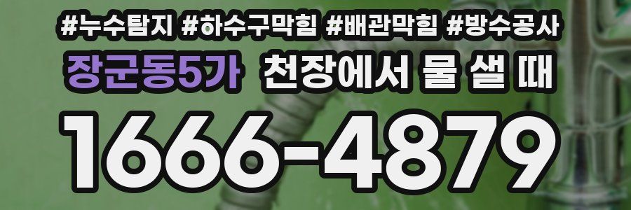 장군동5가 천장에서 물 샐 때
