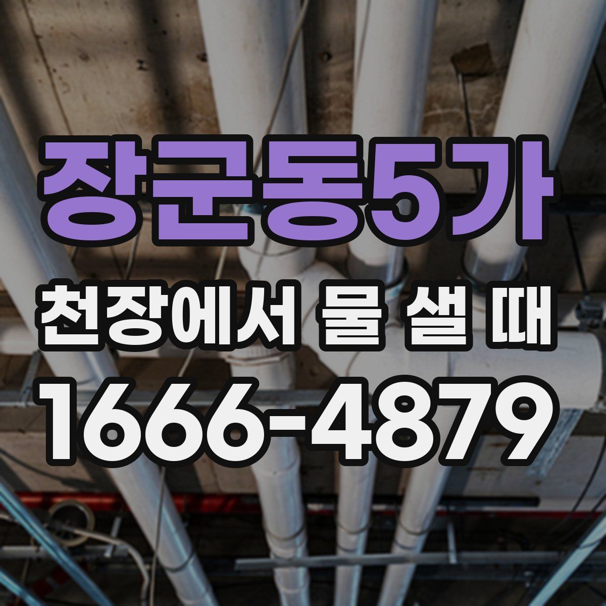 장군동5가 천장에서 물 샐 때