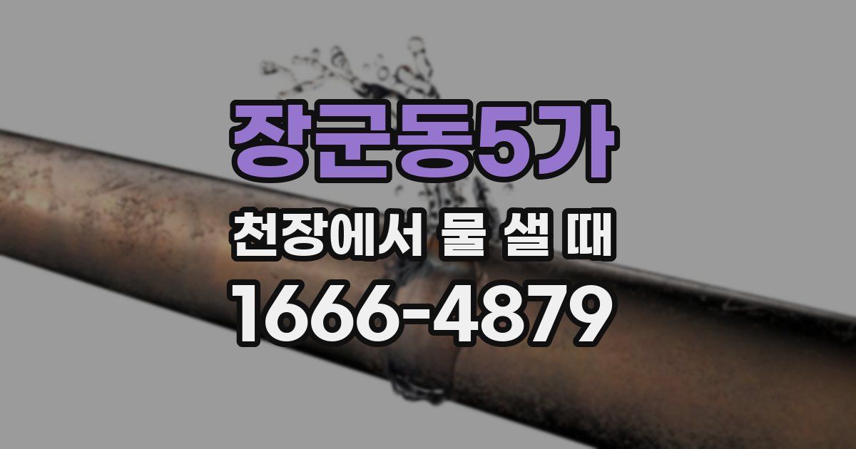 장군동5가 천장에서 물 샐 때