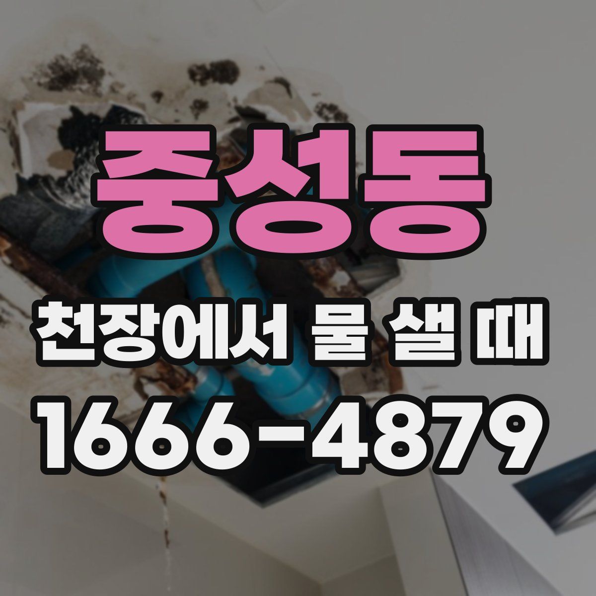 중성동 천장에서 물 샐 때