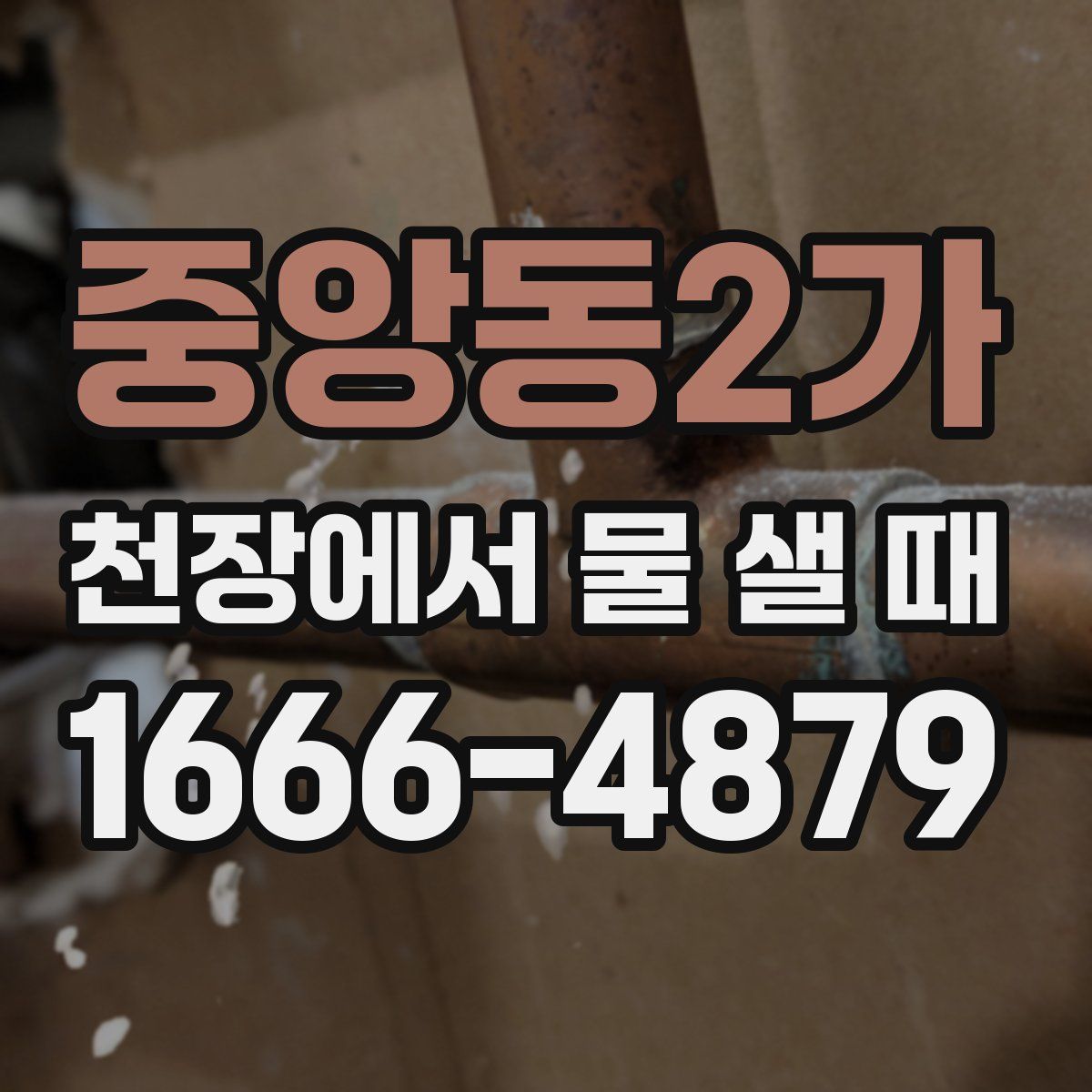 중앙동2가 천장에서 물 샐 때