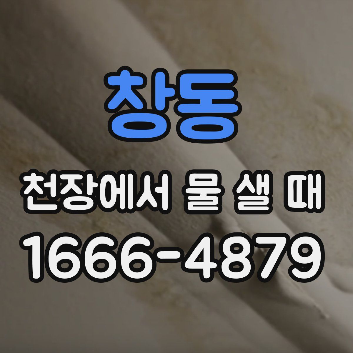 창동 천장에서 물 샐 때