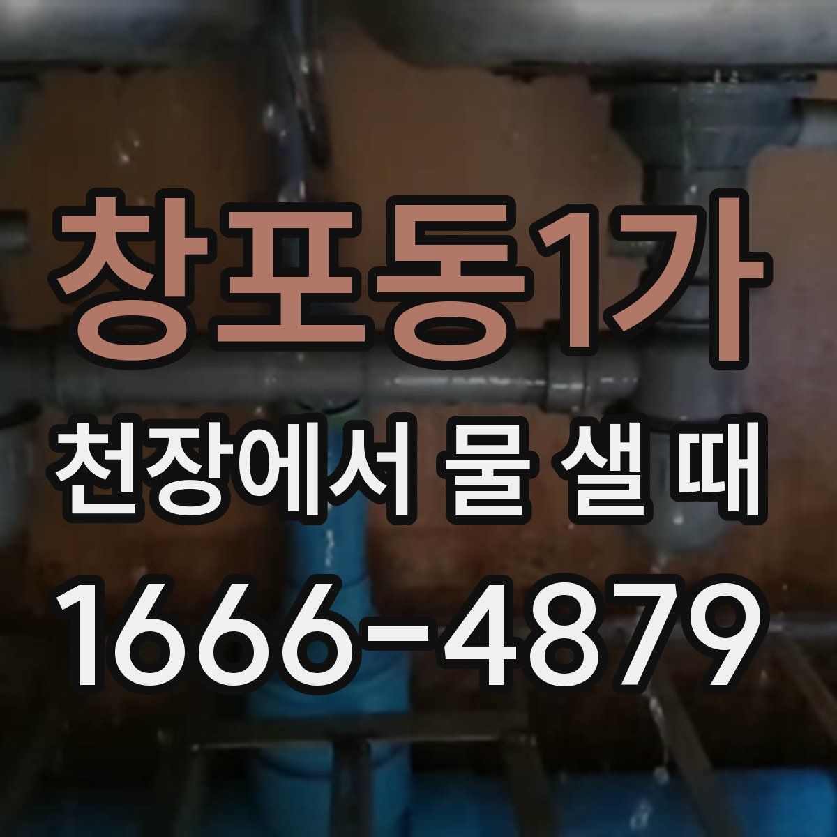 창포동1가 천장에서 물 샐 때