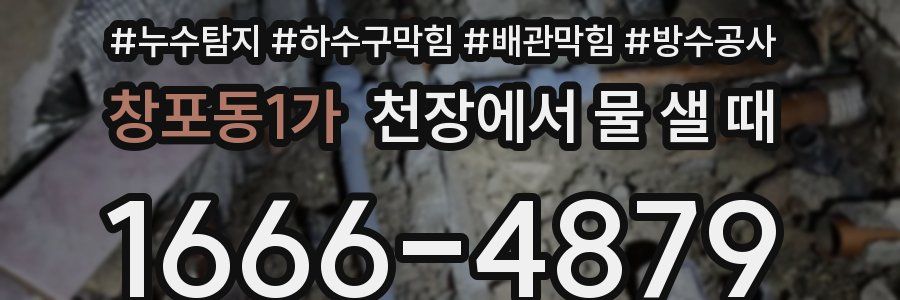 창포동1가 천장에서 물 샐 때
