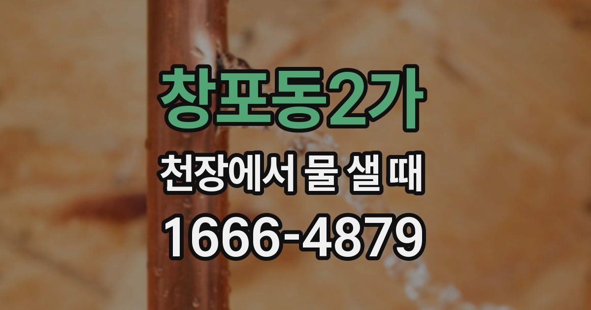 창포동2가 천장에서 물 샐 때