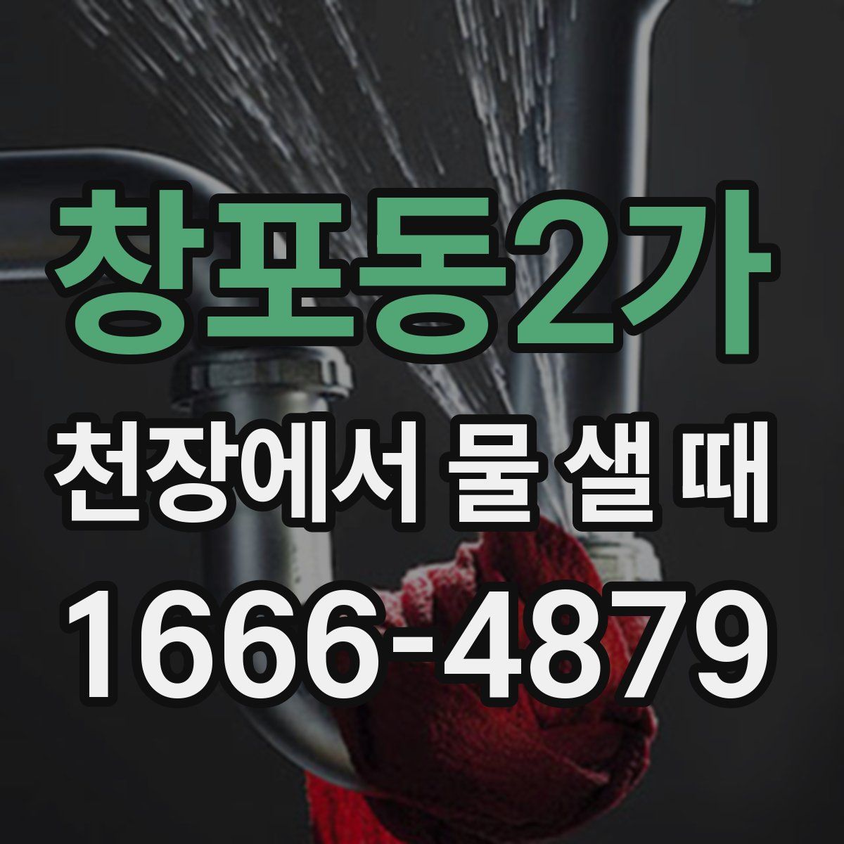 창포동2가 천장에서 물 샐 때