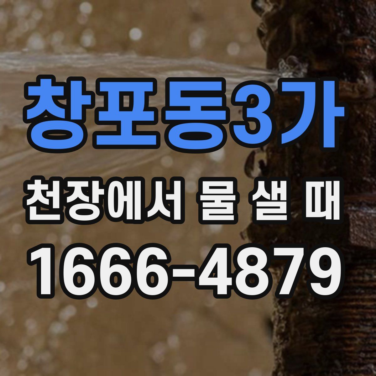 창포동3가 천장에서 물 샐 때