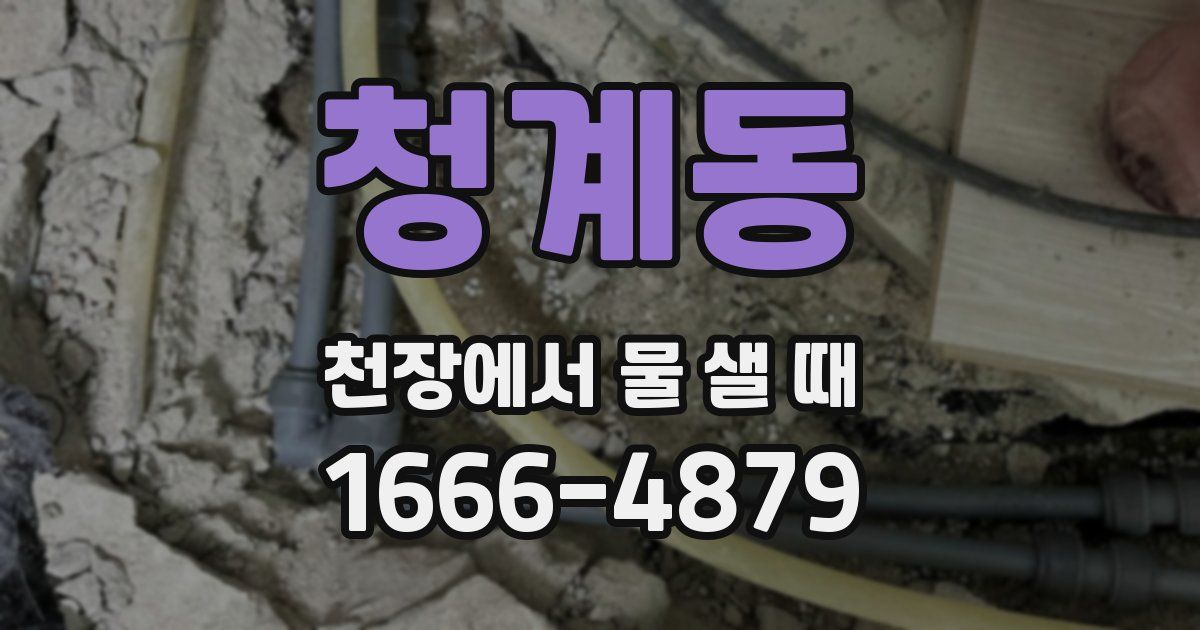 청계동 천장에서 물 샐 때