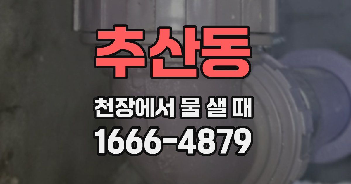 추산동 천장에서 물 샐 때