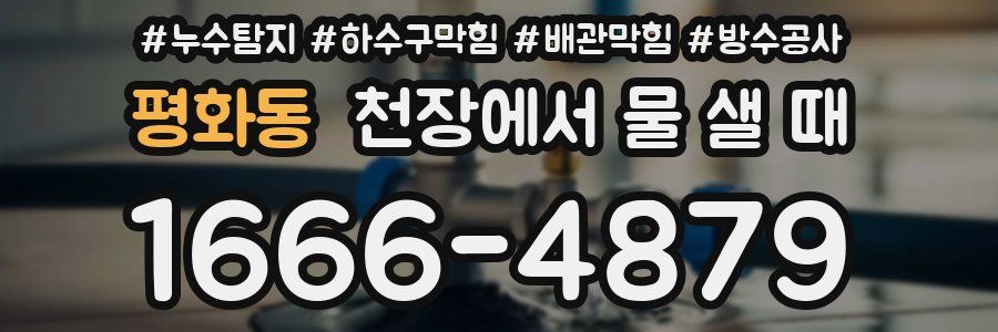 평화동 천장에서 물 샐 때