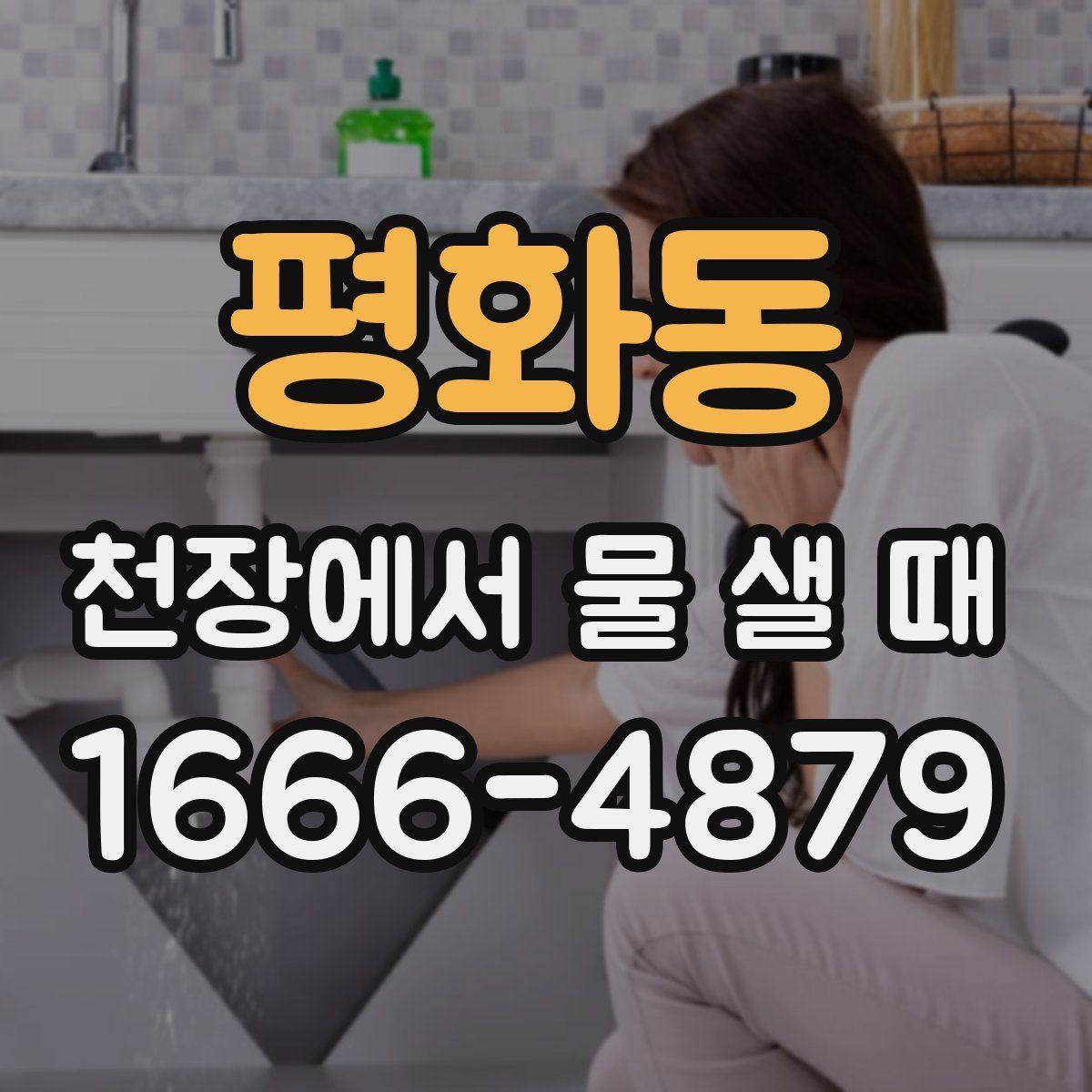평화동 천장에서 물 샐 때