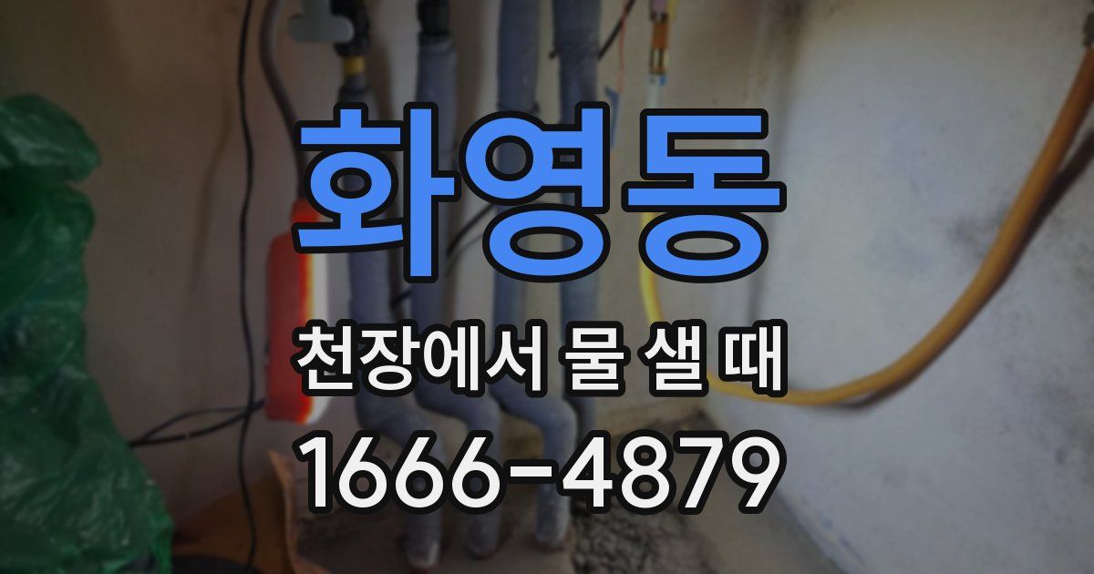 화영동 천장에서 물 샐 때