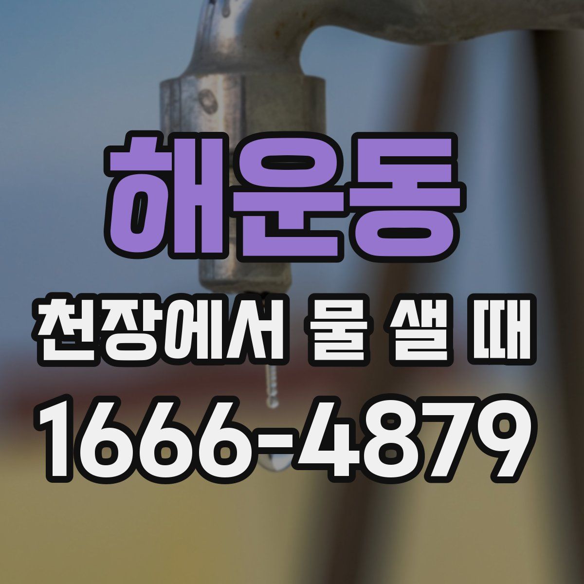 해운동 천장에서 물 샐 때