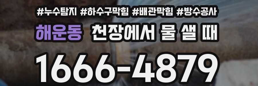 해운동 천장에서 물 샐 때