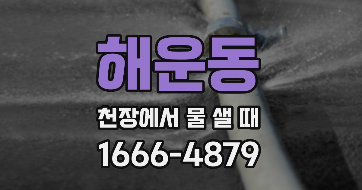 해운동 천장에서 물 샐 때