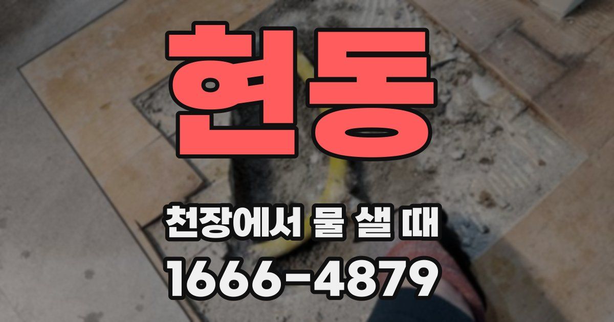 현동 천장에서 물 샐 때