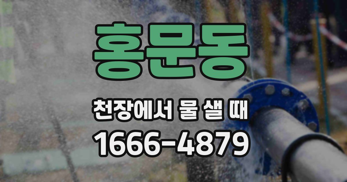 홍문동 천장에서 물 샐 때