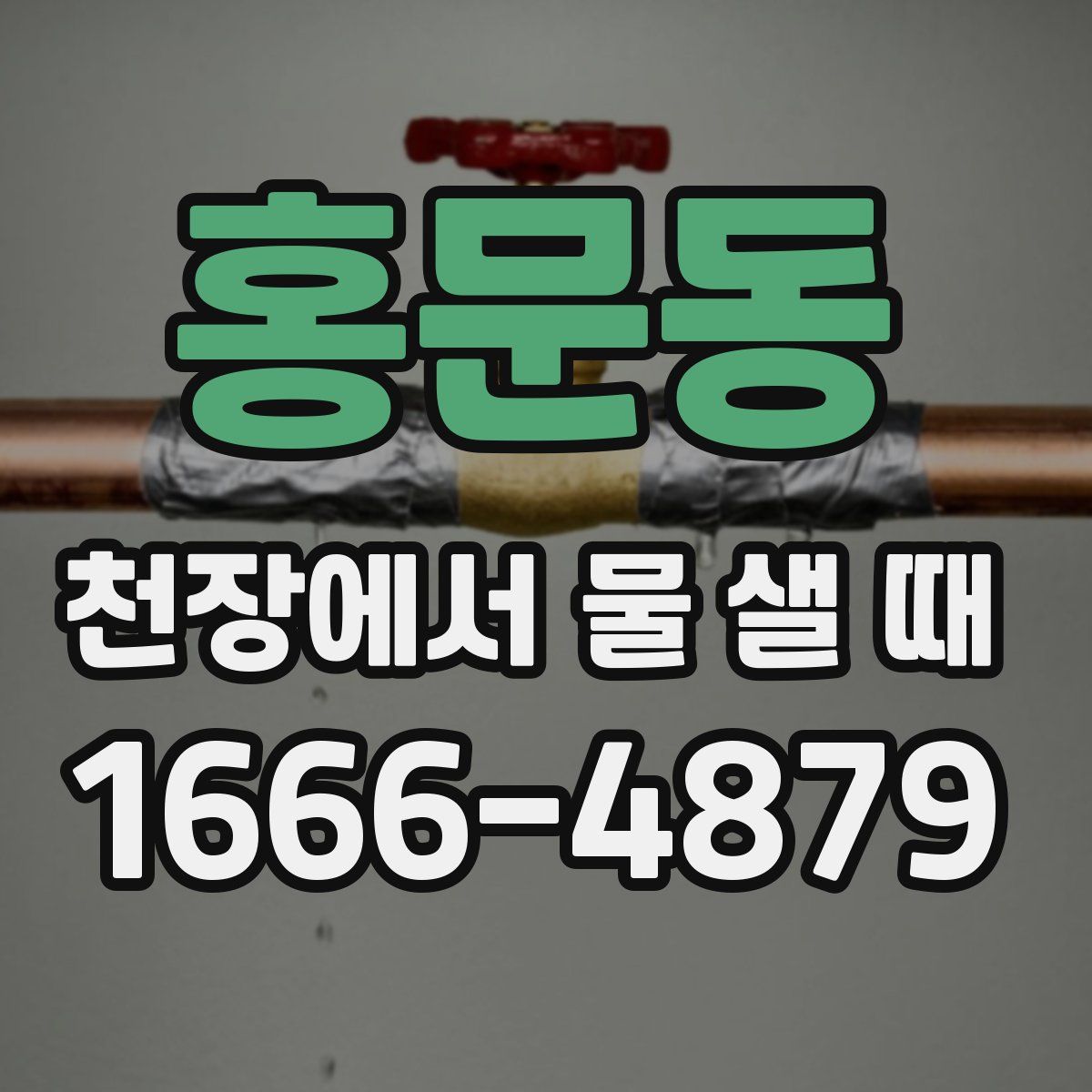 홍문동 천장에서 물 샐 때