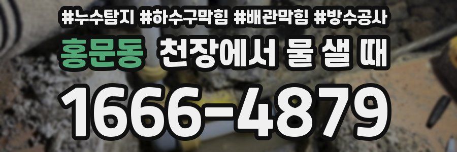 홍문동 천장에서 물 샐 때