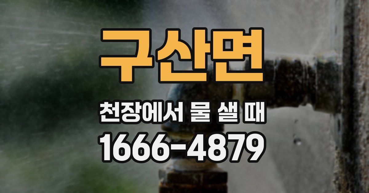구산면 천장에서 물 샐 때