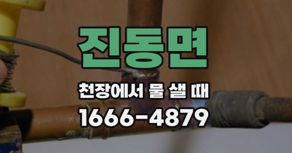 진동면 천장에서 물 샐 때