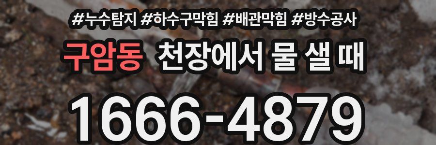 구암동 천장에서 물 샐 때