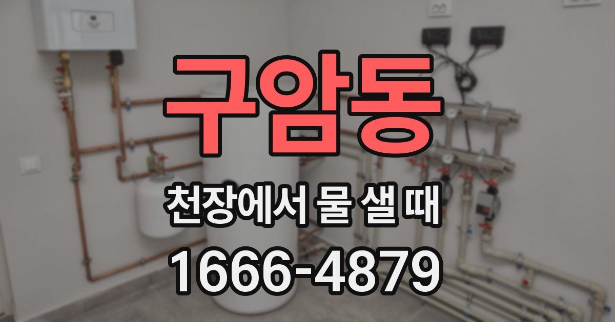 구암동 천장에서 물 샐 때