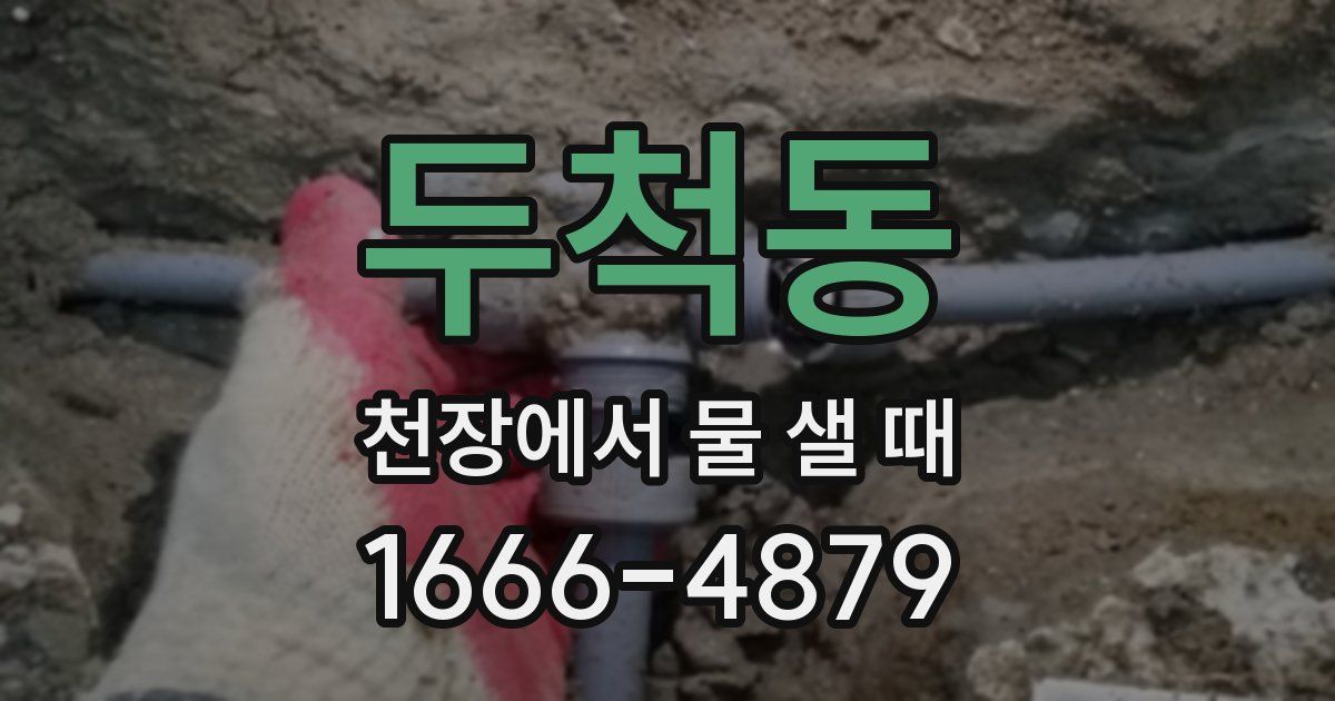 두척동 천장에서 물 샐 때
