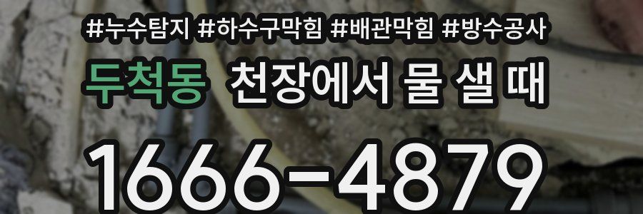 두척동 천장에서 물 샐 때