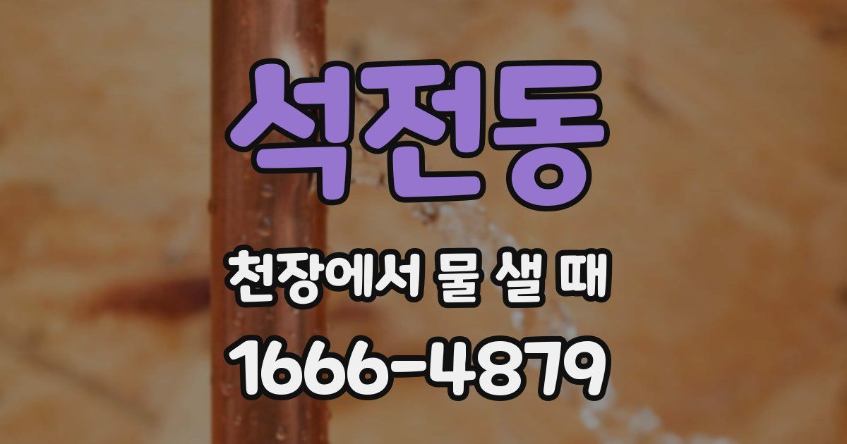 석전동 천장에서 물 샐 때
