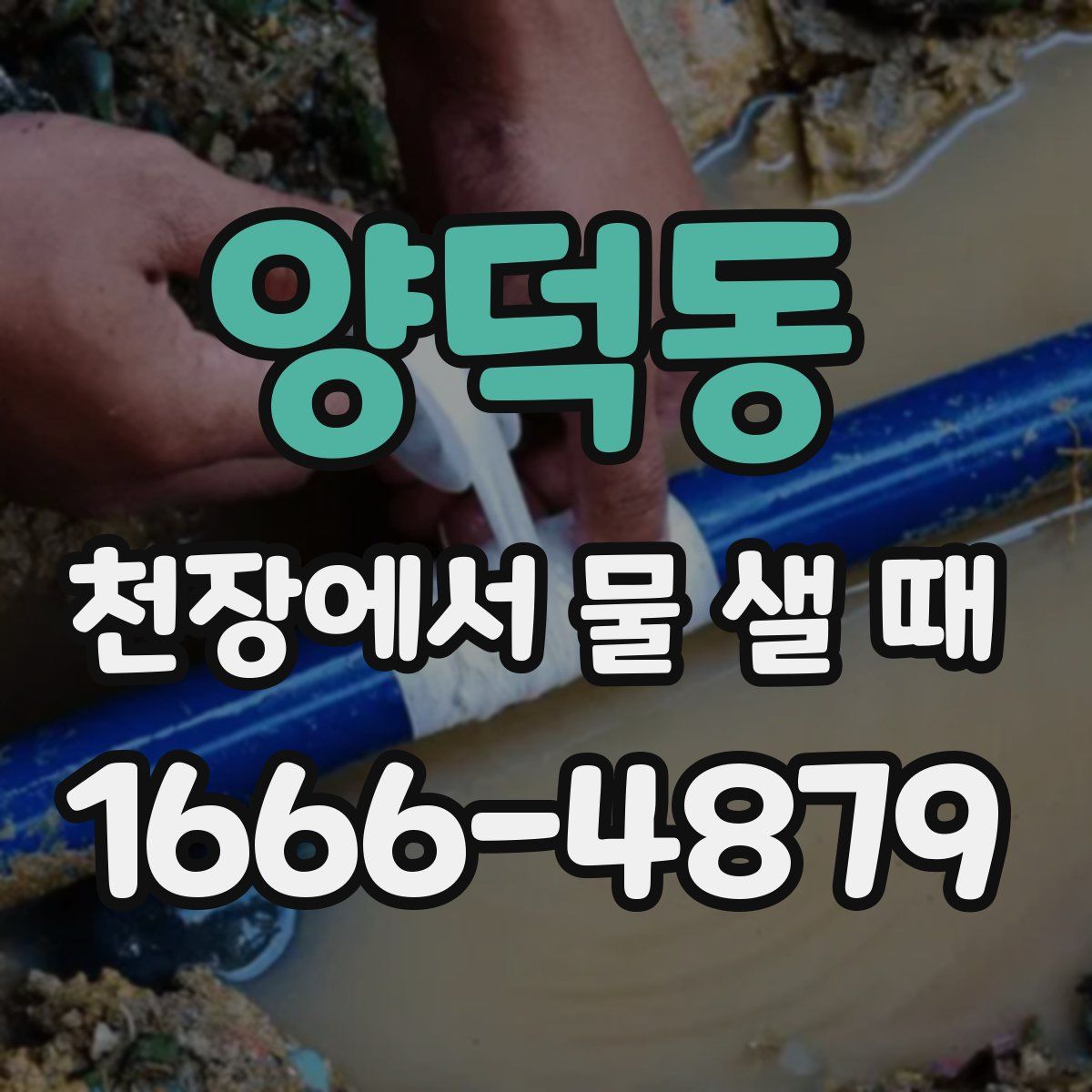 양덕동 천장에서 물 샐 때