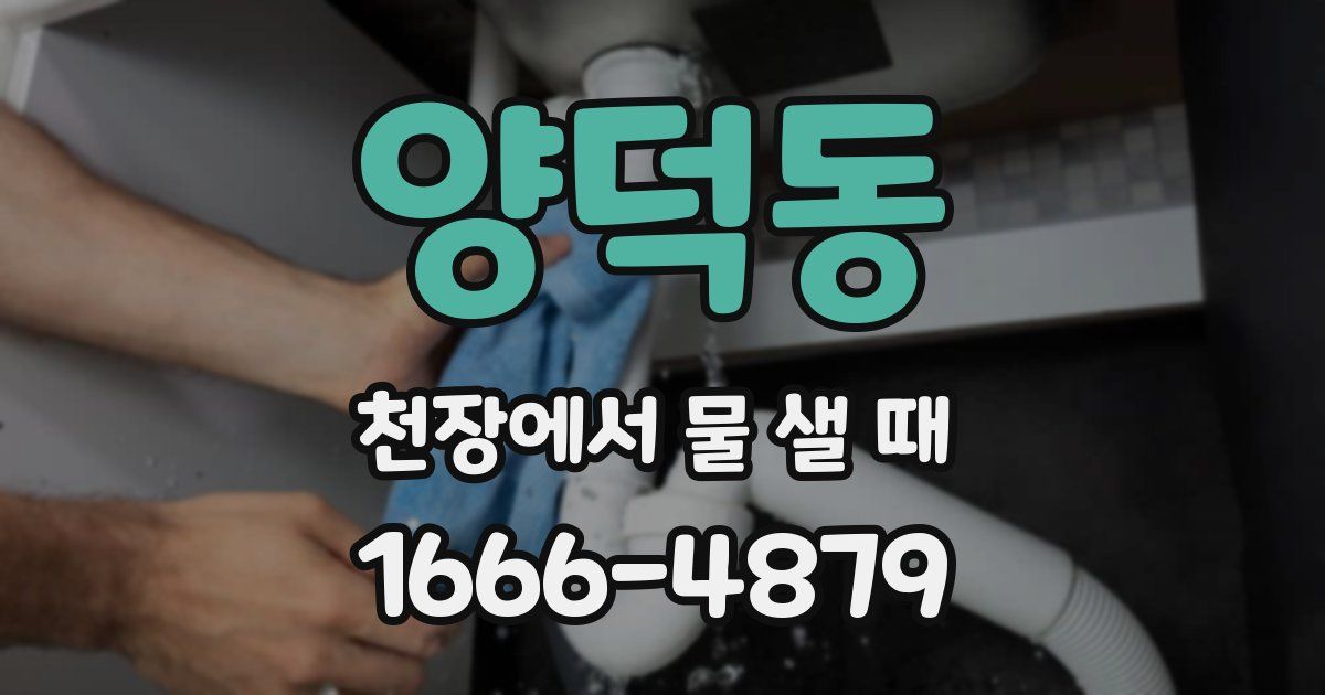 양덕동 천장에서 물 샐 때
