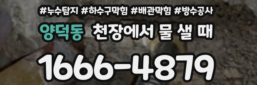 양덕동 천장에서 물 샐 때