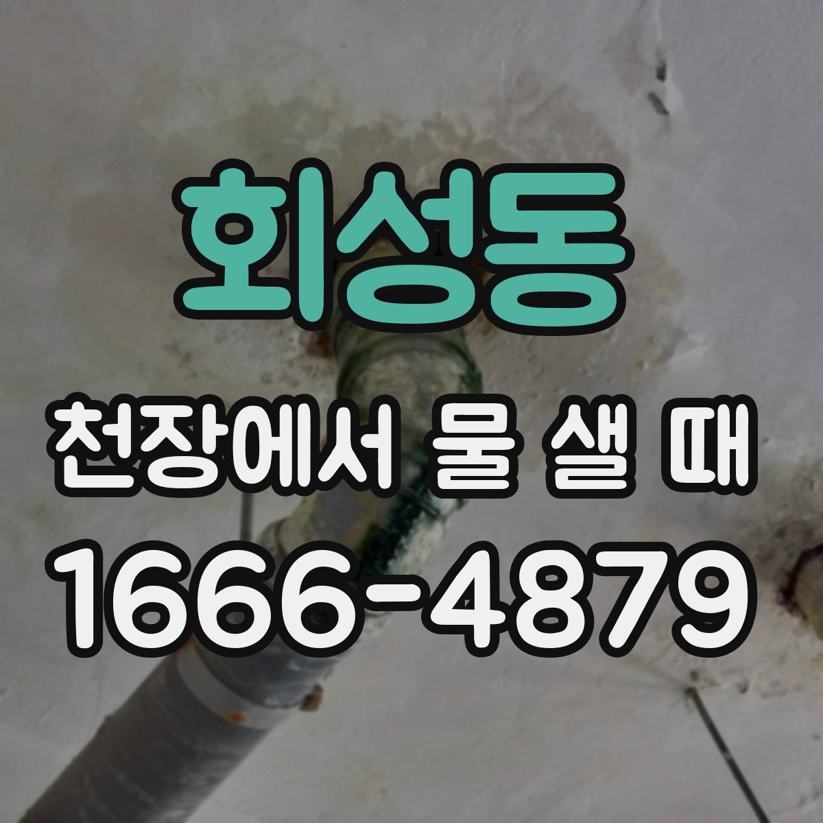 회성동 천장에서 물 샐 때