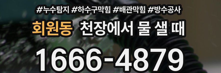 회원동 천장에서 물 샐 때