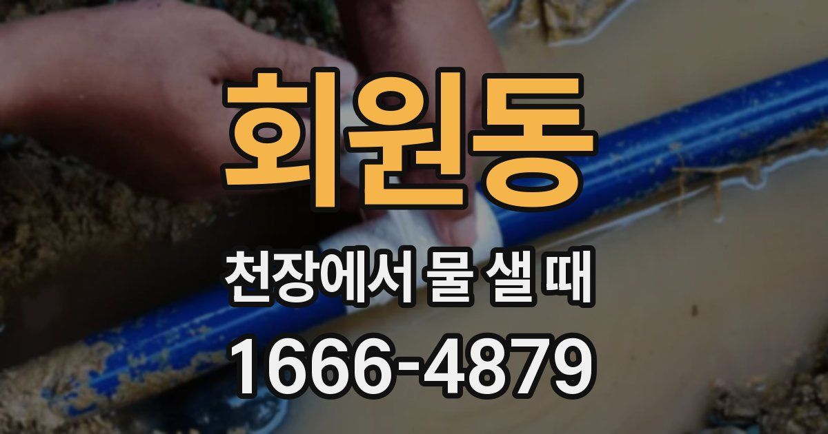 회원동 천장에서 물 샐 때
