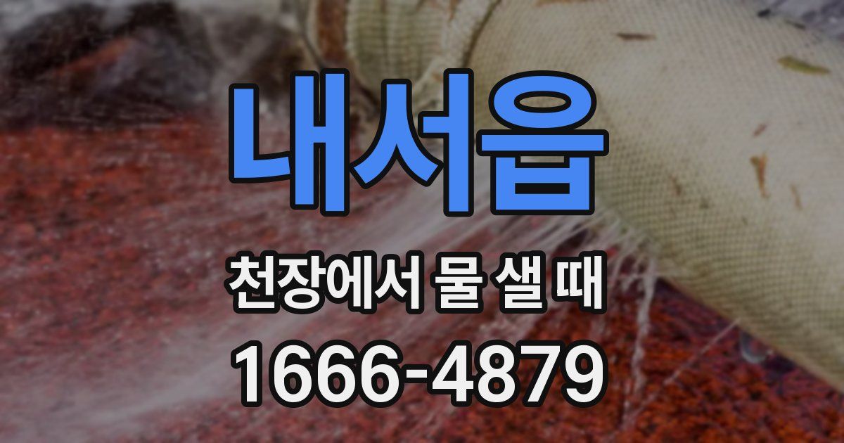 내서읍 천장에서 물 샐 때