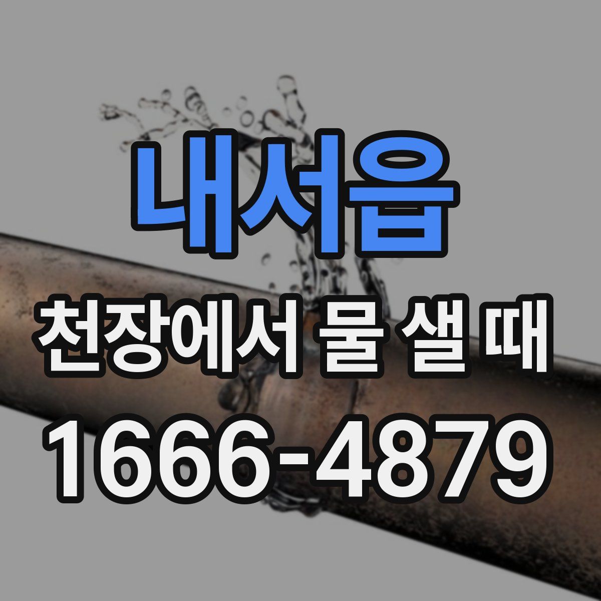 내서읍 천장에서 물 샐 때