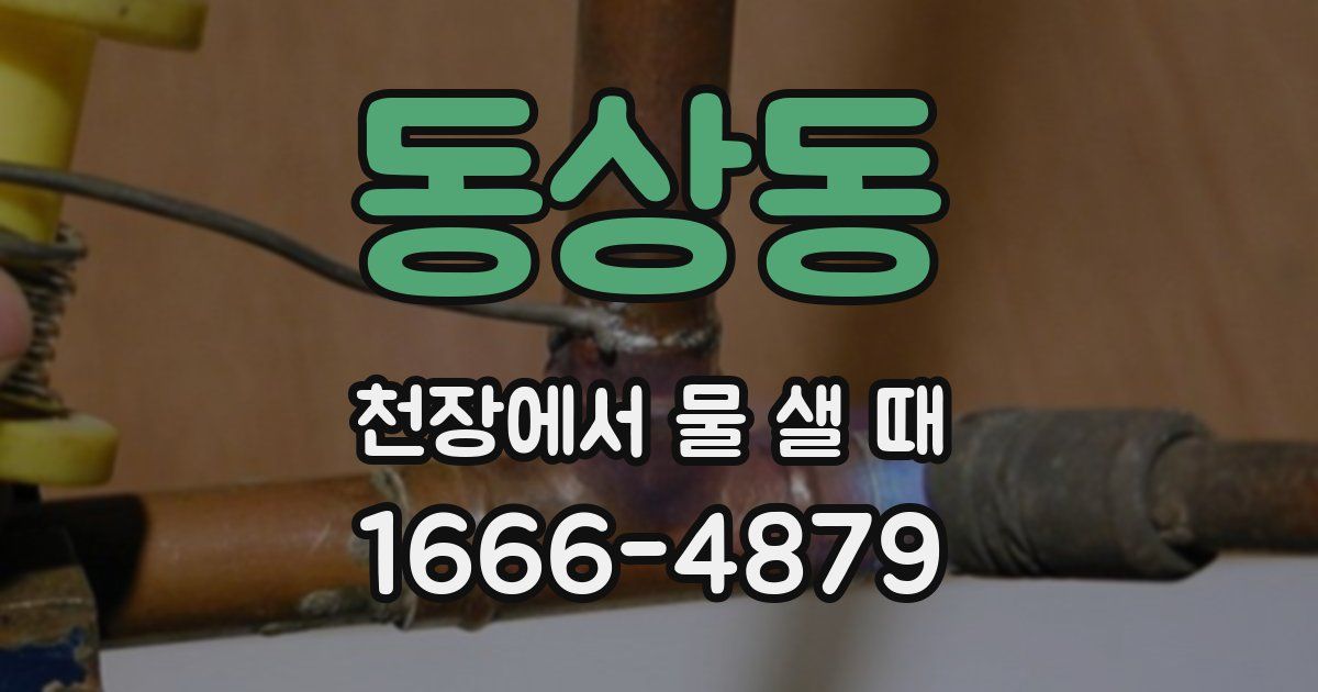 동상동 천장에서 물 샐 때