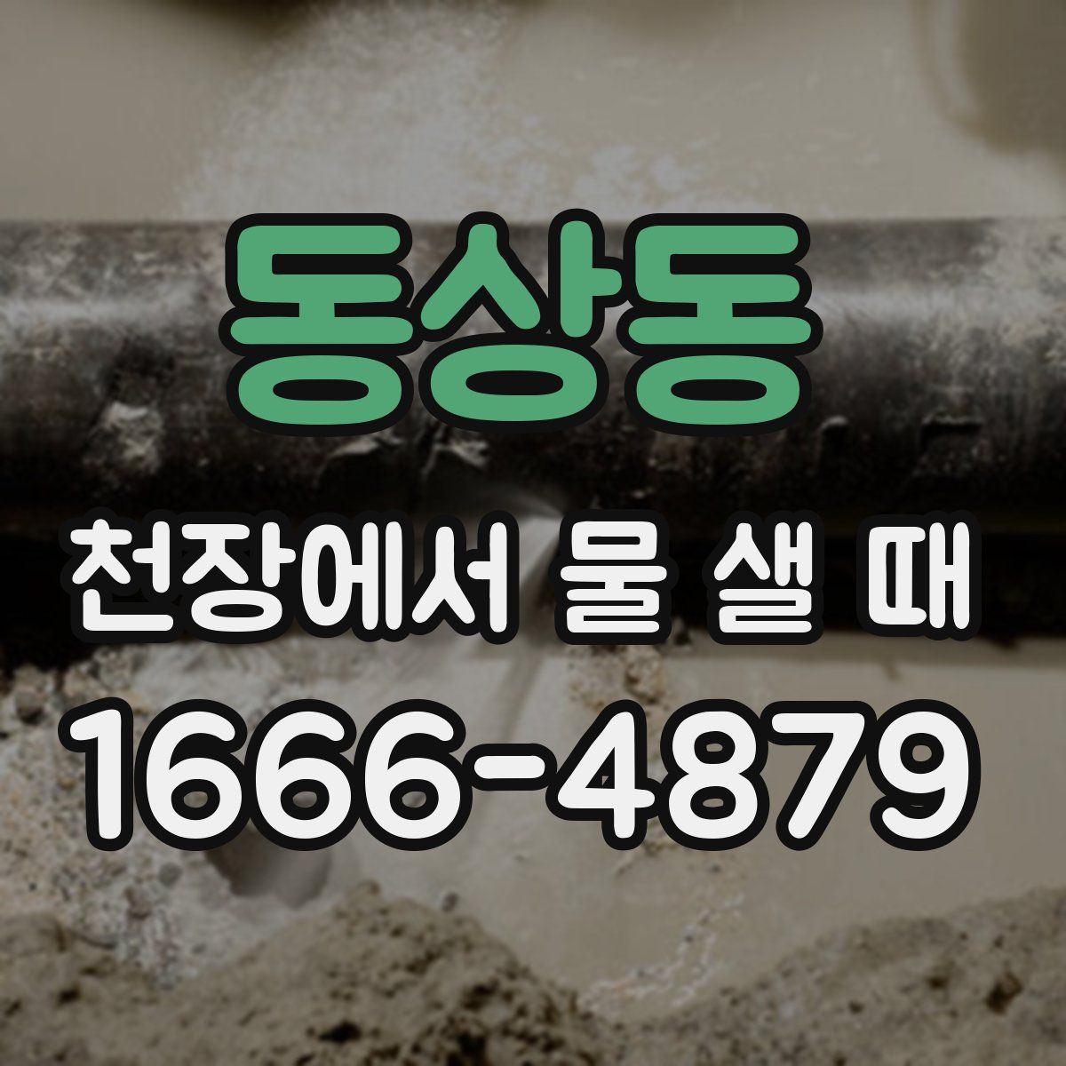 동상동 천장에서 물 샐 때